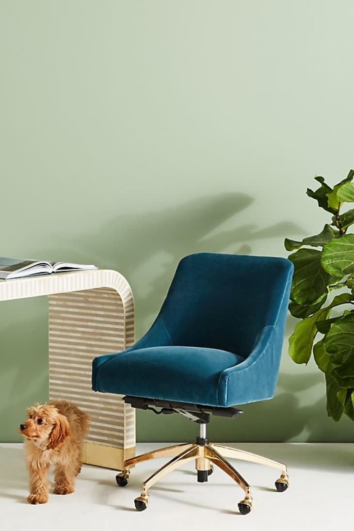 Anthropologie office chairs on sale